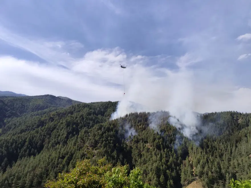 Kahramanmaraş'ta orman yangını 2