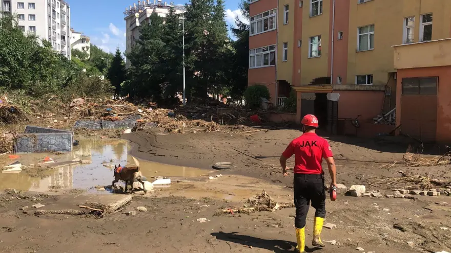 Kadavra köpekleri su altında sekiz ceset buldu 8