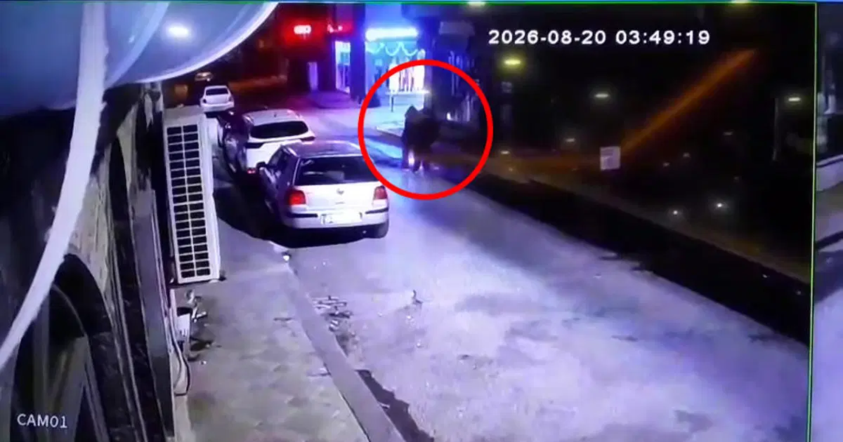 Üç kardeşin Darıca sahilinde gizemli ölümü. Tek renk giyinmişler, kol kola yürümüşler
