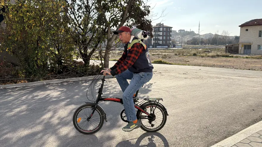 12 yıl önce sokaklardan kurtardığı kedisiyle 65 şehir gezdi 2