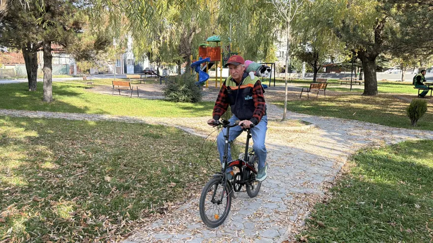 12 yıl önce sokaklardan kurtardığı kedisiyle 65 şehir gezdi 1