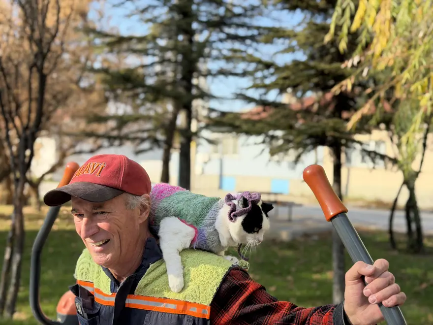 12 yıl önce sokaklardan kurtardığı kedisiyle 65 şehir gezdi 4