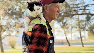 12 yıl önce sokaklardan kurtardığı kedisiyle 65 şehir gezdi