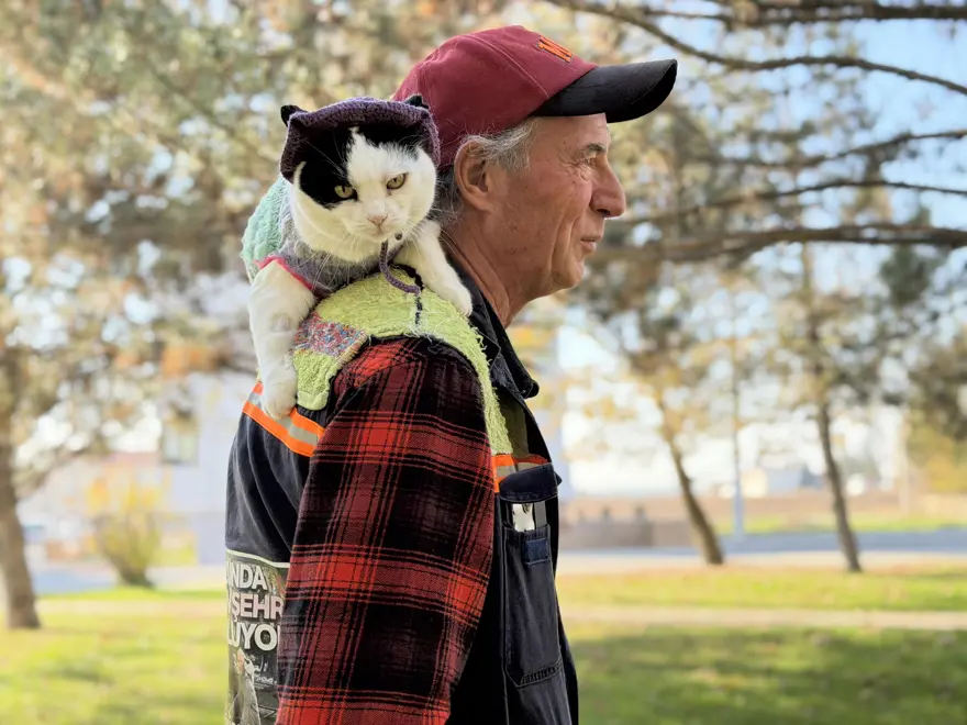 12 yıl önce sokaklardan kurtardığı kedisiyle 65 şehir gezdi 3