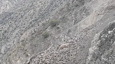 Artvin'de heyelan: Köy yolu ulaşıma kapandı