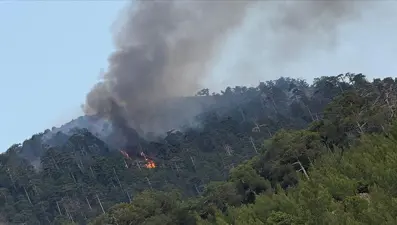 Denizli'de orman yangını: Havadan ve karadan müdahale