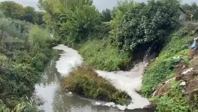 Kötü koku ve renk değişimi endişe yarattı: Gemlik Körfezi’ne kadar ulaşıyor