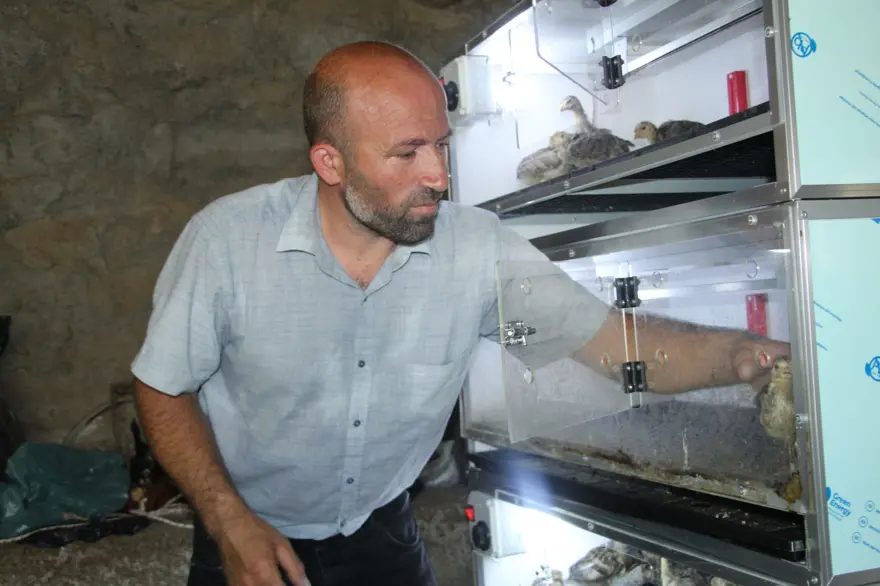 Çiftliği evine taşıdı, 8 kişilik ailesine bakıyor: Haftada 25-30 civciv üretiyor 1 Çiftliği evine taşıdı, 8 kişilik ailesine bakıyor: Haftada 25-30 civciv üretiyor 1