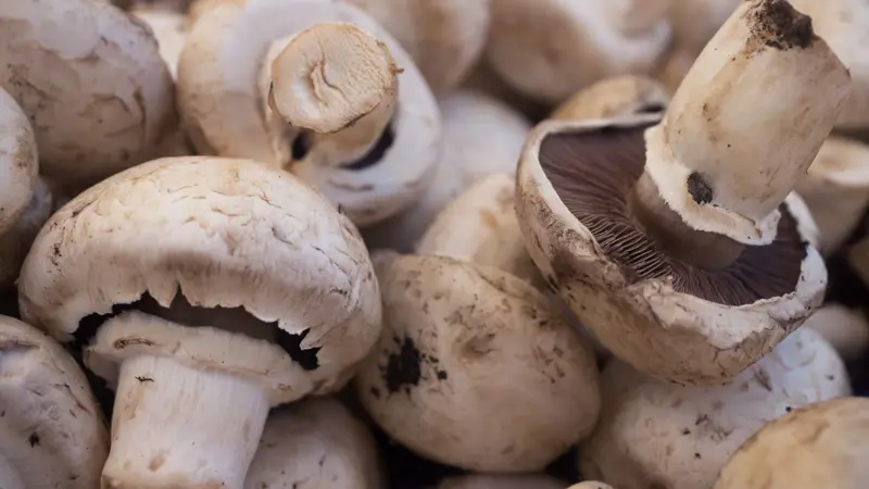 Araştırmalar ortaya koydu: Prostat kanserine karşı gizli silah bu besinde!