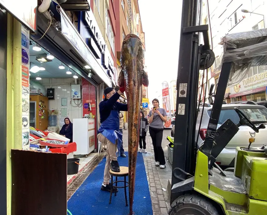Meriç Nehri’nde yakalandı, tam 3 metre: Kilosu 450 liradan satışta 4