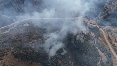 Şemdinli'de orman yangını