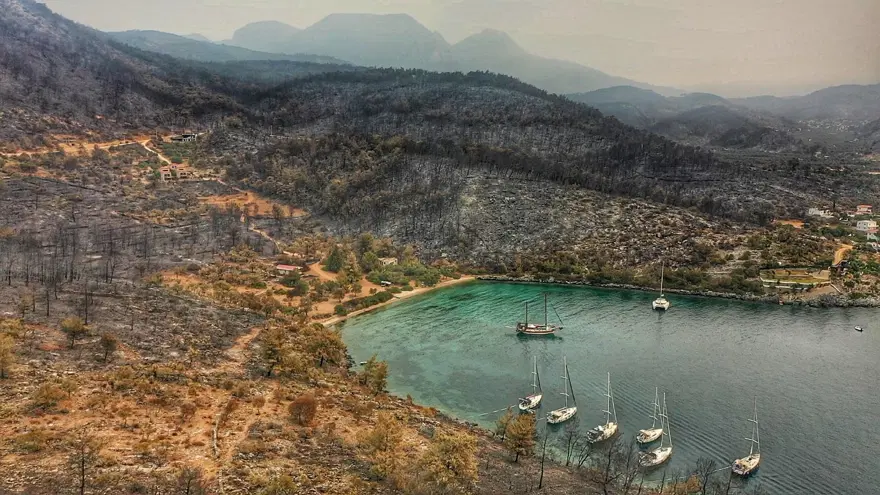 Bodrum ve Milas'ta yanan alanlar havadan görüntülendi 14 Bodrum ve Milas'ta yanan alanlar havadan görüntülendi 14