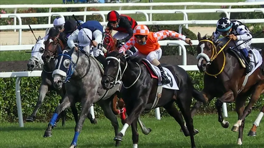 Gazi Koşusu ne zaman, saat kaçta, nerede? (99. Gazi Koşusu bilgileri) 3