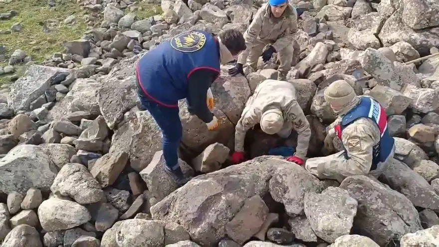 Jandarma didik didik aradı, hepsi taşların arasından çıktı 3