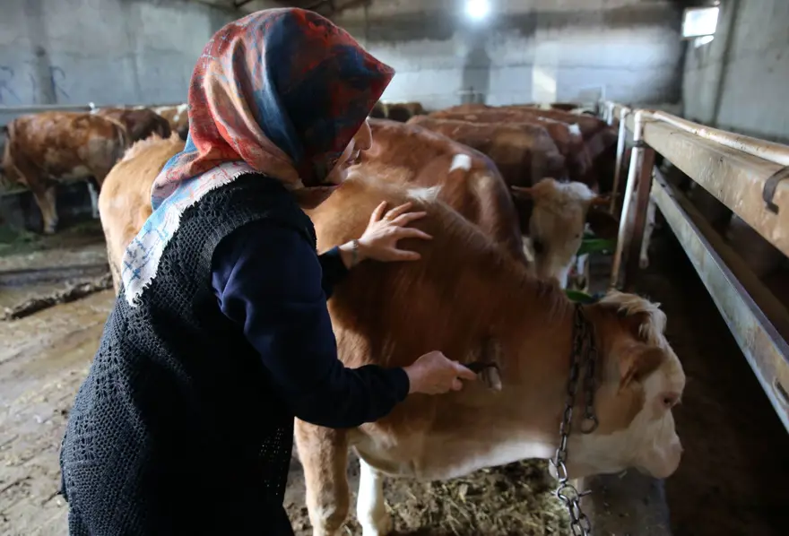 250 bin lira hibe desteğiyle 2 yılda 6'ya katladı: Üretip tüm ilçeye satıyorlar 5