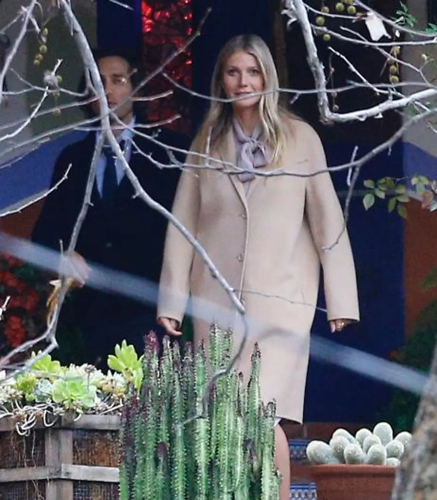 Carrie Fisher ve Debbie Reynolds'a Hollywood yıldızları böyle veda etti 7