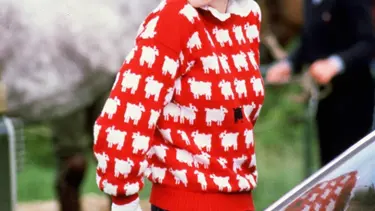 Prenses Diana'nın kazağı açık artırmada