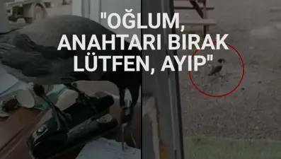 Garaj anahtarlarını alıp kaçan karganın peşinden böyle koştu