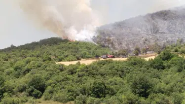 Çanakkale ve Hatay'da orman yangını