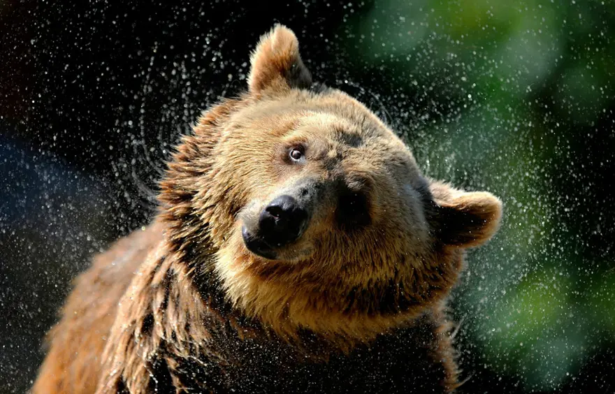 Sıcakta böyle serinliyorlar 36 Sıcakta böyle serinliyorlar 36