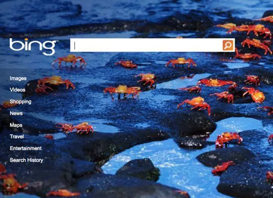 9. Bing.com 9