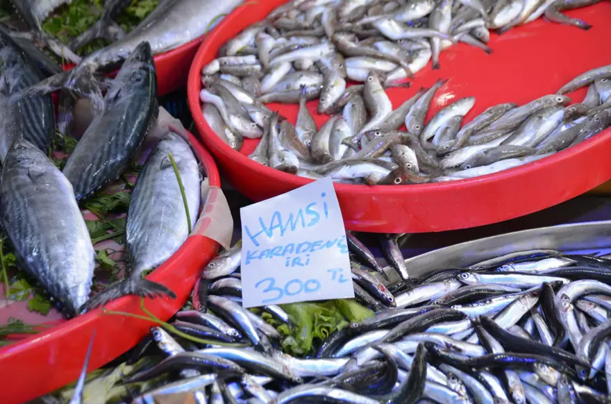 Mevsimin en lezzetli balıkları: Tezgahlar dolu, herkesin yüzü güldü 4