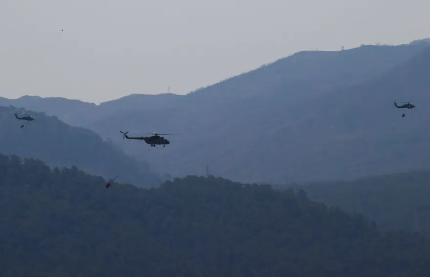 Cumhurbaşkanı Erdoğan: Marmaris'teki orman yangını büyük oranda kontrol altında 81