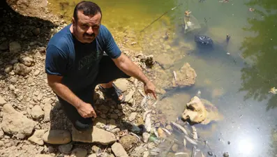 Su seviyesi düştü: Endemik yüzlerce balık öldü