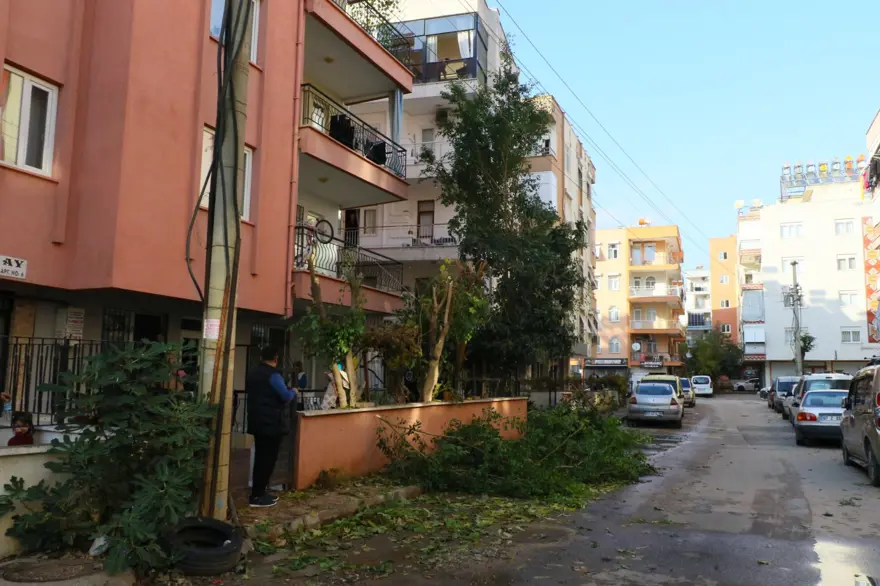 Ağaç budayan kişi mahallenin başına iş açtı: Elektronik cihazlar yandı, yangın çıktı 