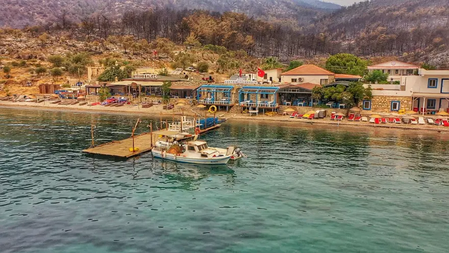 Bodrum ve Milas'ta yanan alanlar havadan görüntülendi 35 Bodrum ve Milas'ta yanan alanlar havadan görüntülendi 35
