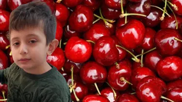 Soluk borusuna kaçan kiraz öldürdü
