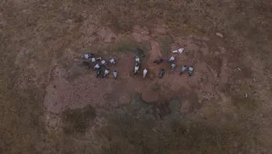 Değeri yarım milyondan fazla: Yurt dışından bile talep görüyor