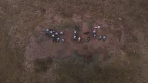 Değeri yarım milyondan fazla: Yurt dışından bile talep görüyor