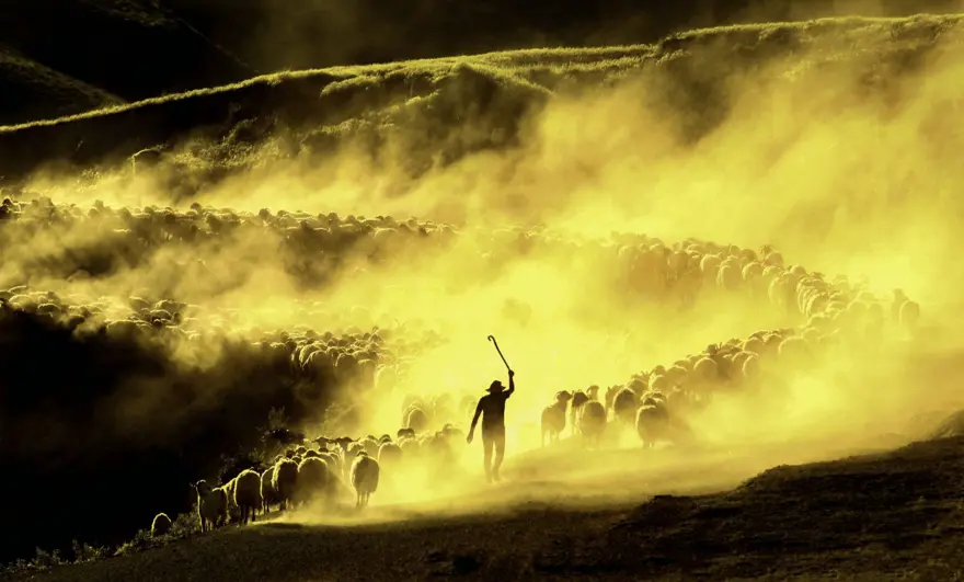 “Haydi! Yeşil Gelecekler” fotoğraf yarışmasının ödülleri açıklandı 7 “Haydi! Yeşil Gelecekler” fotoğraf yarışmasının ödülleri açıklandı 7