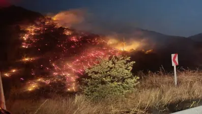 Nazilli'de alevler büyümeden kontrol altına alındı