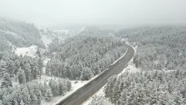 Sarıçam ormanları beyaza büründü