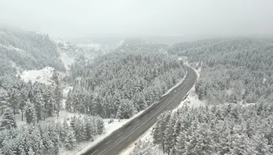 Sarıçam ormanları beyaza büründü