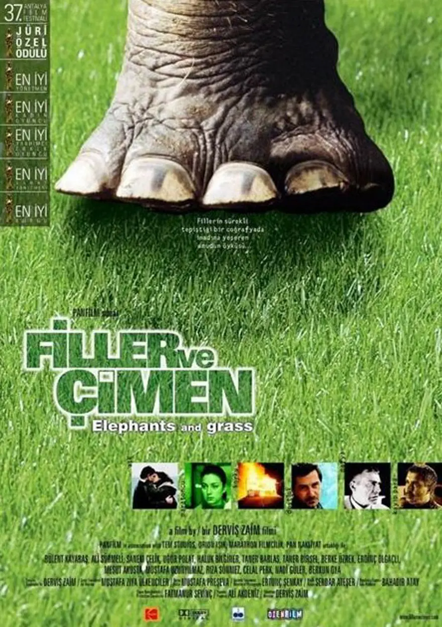 Filler ve Çimen (Derviş Zaim) 85