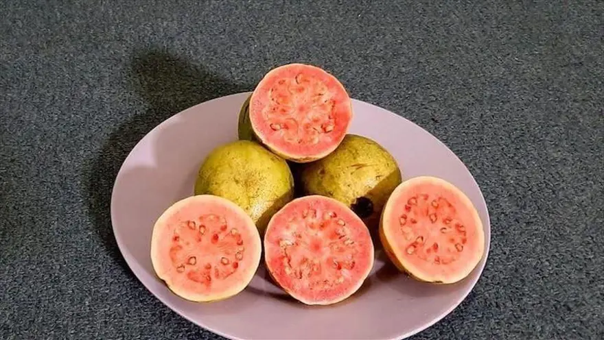 GUAVA MEYVESİ 7