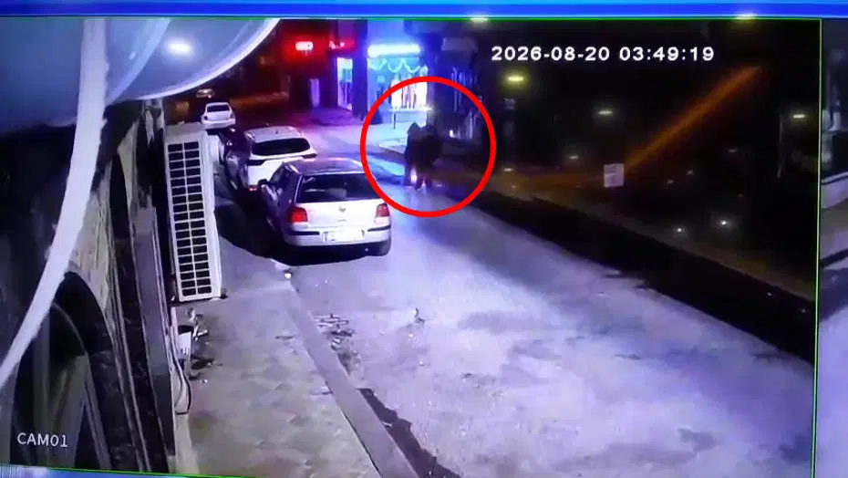 Üç kardeşin gizemli ölümü. Tek renk giyinerek kol kola yürümüşlerdi, bu kez not defteri ortaya çıktı
