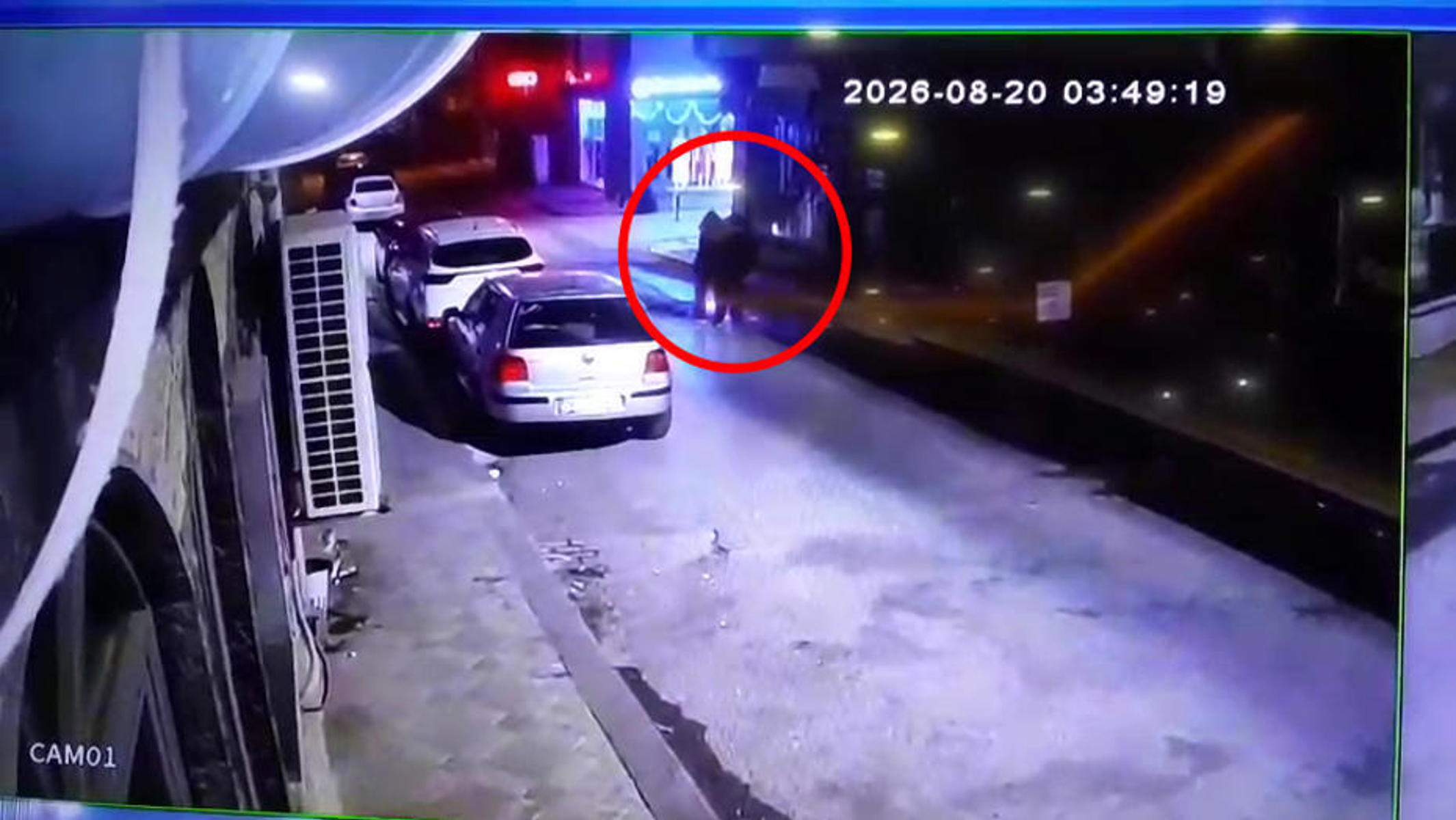 Üç kardeşin gizemli ölümü. Tek renk giyinerek kol kola yürümüşlerdi, bu kez not defteri ortaya çıktı