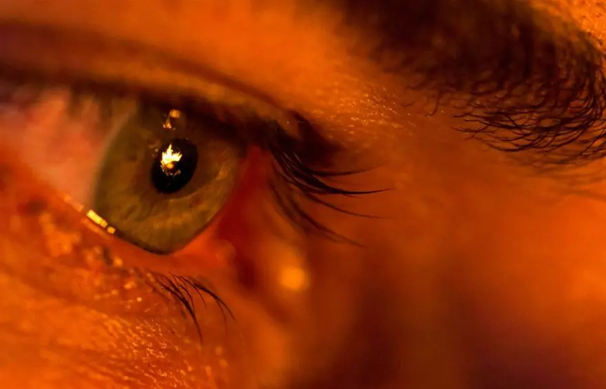 663 yıllık gelenek 46 663 yıllık gelenek 46