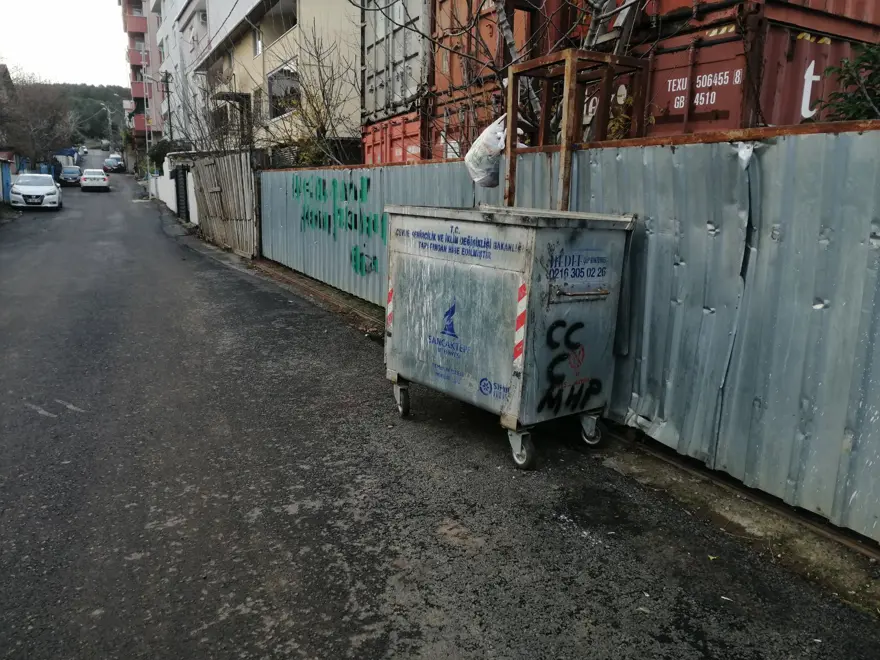 Sancaktepe'de poşetle çöpe atılmış 11 yavru köpek bulundu: Dördü telef oldu, yedisi baygın halde kurtarıldı 5