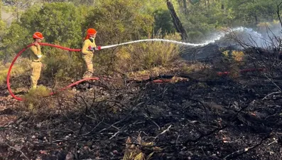 Muğla orman yangını: 2,5 saate kontrol altına alındı