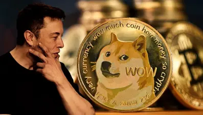 Dogecoin'in simgesi Kabosu hayatını kaybetti