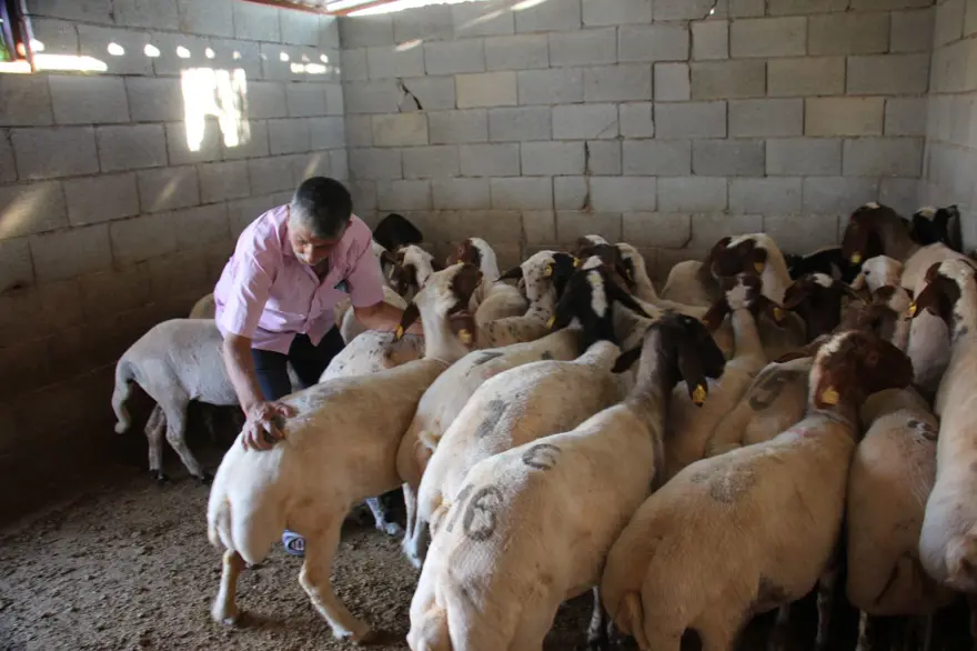 Kurban keserken dikkat! Cezalar el yakıyor 5