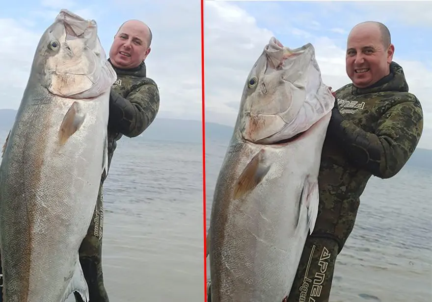 Çanakkale'de yakaladı, kıyıya çıkardı: 1.8 metre boyunda 63 kilogram 