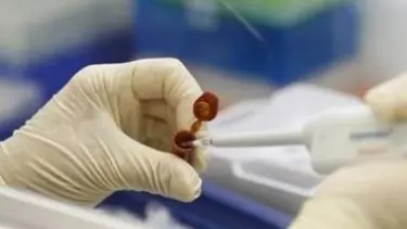 3 ülkede domuz gribine 40 kurban