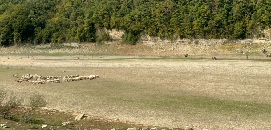 İSTANBUL'DA SON 10 YILDA BARAJ DOLULUK ORANI 5