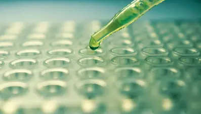 Evlilik öncesi SMA testi yapılacak